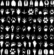 20.2. Nature et écologie