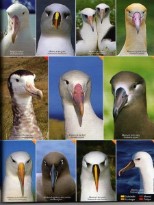 20 Nature et écologie