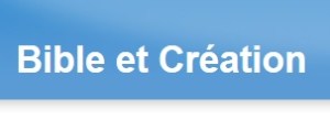 Bible et création
