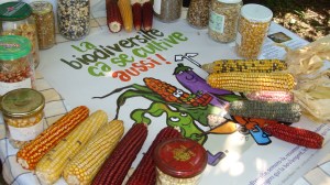 biodiversité-ca-se-cultive-aussi2