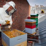 phoca_thumb_m_apiculture-urbaine_jpg