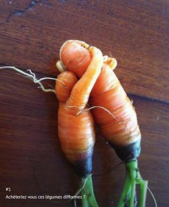 Carotte2
