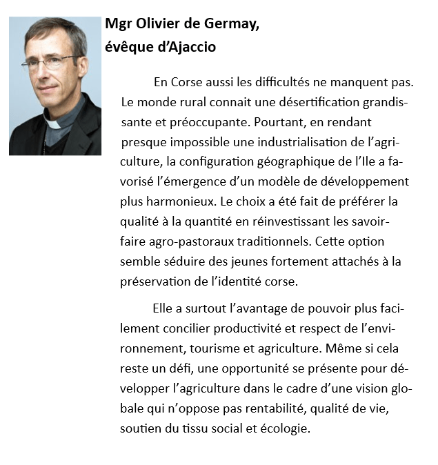 2016 Mgr de Germay.png