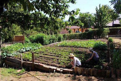 2016 Taizé jardin.jpg
