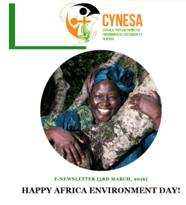 2016 Environnemnet Afrique