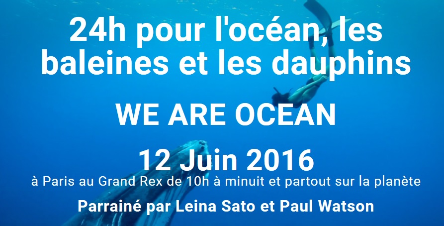 2016 Journée mondiale des Océans