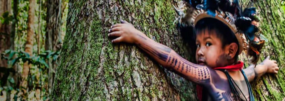 2018 ECOLOGIE Eglises Amazonie.jpeg