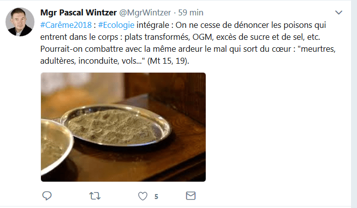 2018 ECOLOGIE Eglises Wintzer.png
