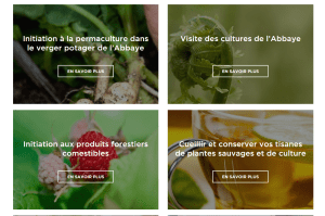 2018 ECOLOGIE Eglises Abbaye Canada