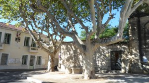 2018 ECOLOGIE Grabels