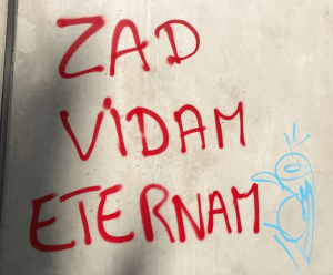 2018 ECOLOGIE Zad vidam