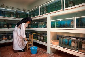 2018 ECOLOGIE Eglise Achoques2