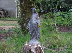 2- vierge dans le jardin