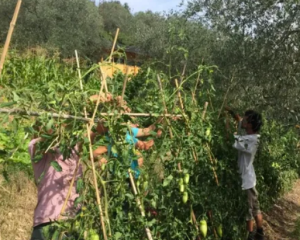 Capture d’écran 2019-08-21 à 13.48.41