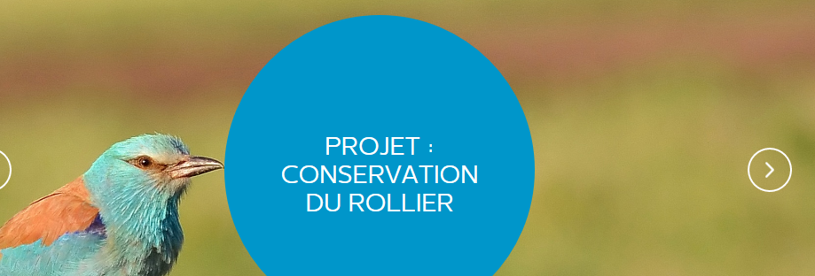 Screenshot_2019-10-08 France A Rocha.png