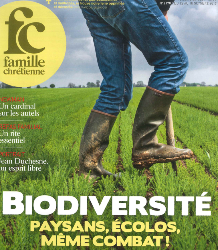 Capture d’écran 2019-11-08 à 18.44.53