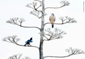Capture d’écran 2019-12-17 à 19.20.01