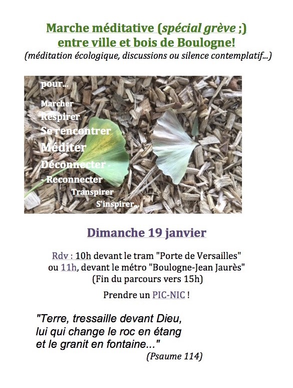 2020 ECOLOGIE et EGLISES Janvier Marche