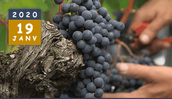 Capture d’écran 2020-01-14 à 15.55.23