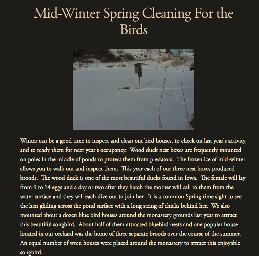 Capture d’écran 2020-05-19 à 17.45.13