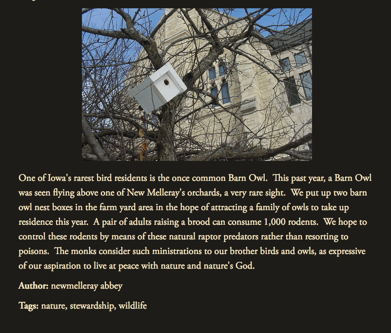 Capture d’écran 2020-05-19 à 17.45.19